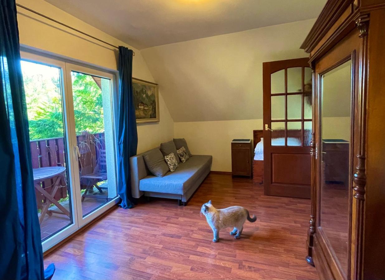 Dom Na Jezynowym Wzgorzu - Blackberry Hill Cottage Radziechowy المظهر الخارجي الصورة